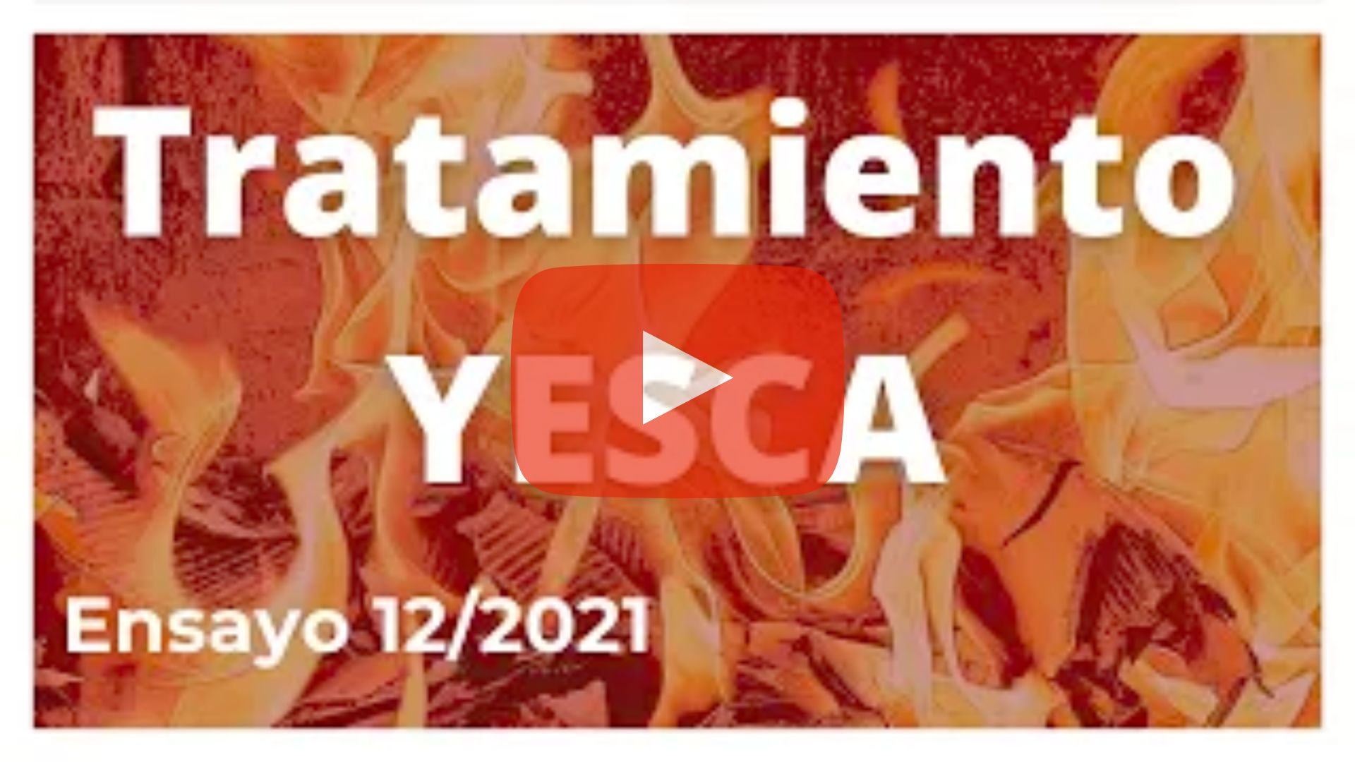 Ensayo 12/2021 Bolaños de Calatrava, un vídeo para mostrar la eficacia del tratamiento con YesKaP Forma parte de la red de ensayos verificados junto con COOVIMAG en Bolaños de Calatrava (Ciudad Real). Este vídeo puede tardar en cargar unos segundos, por favor, espere...